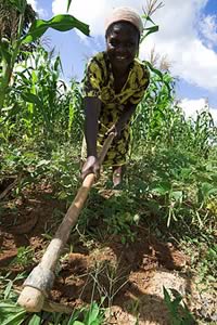 kenyan field worker